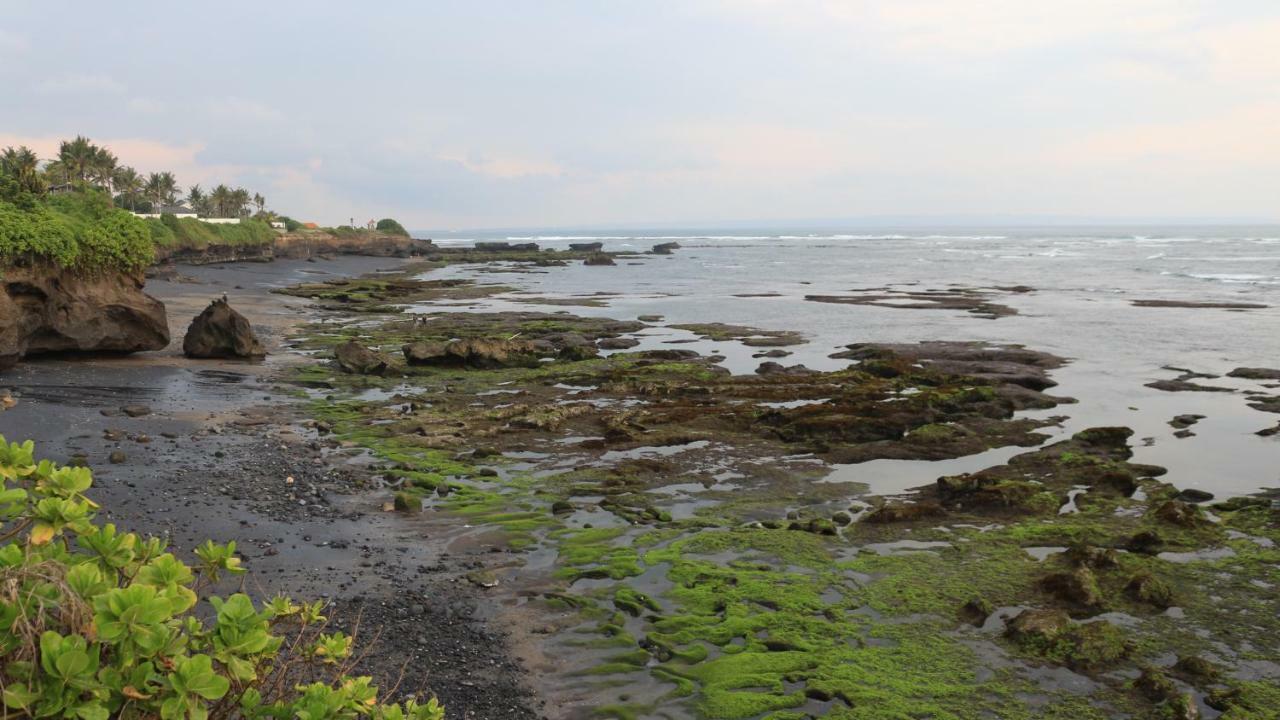 Villa Padi Canggu Kültér fotó